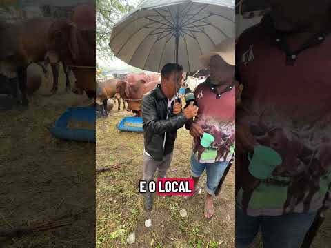 Encontro de carreiros de 6 a 7 de dezembro sítio gavião São José da tapera Al