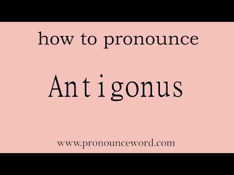 Antigonus: How to pronounce Antigonus in english (correct!).Start with A. Learn from me.