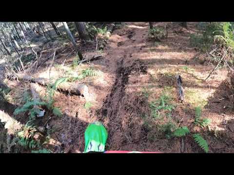 2022 kawasaki kx250 wood singlestrack