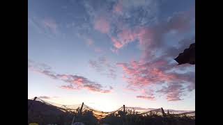 gloomy sunday(Elvis Costello)Federico Mellano