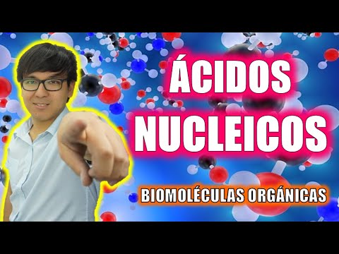[ FREE BIOLOGY ] - NUCLEIC ACIDS | ORGANIC BIOMOLECULES 👉😍🌿