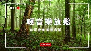 Pure piano melodies to relax your mind 🎹 Stress-relieving music to help you fall asleep easily