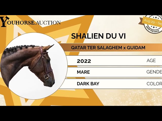 Shalien du Vi showvideo