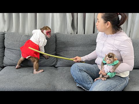 Kobi and Mon get into a big fight how did Mom intervene and punish?