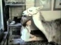 Sesame Street Me And My Llama My Lama And Me