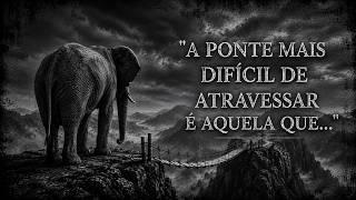 O Elefante e a Ponte de Corda