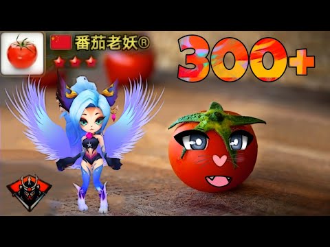 TOMATO's Over 300 Speed MINA (with Speed Lead) in G3 RTA! - Summoners War
