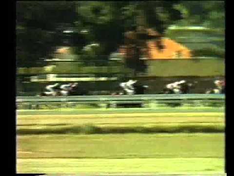 1986 Gr1 SA Derby