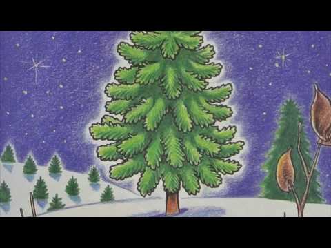 The Littlest Christmas Tree Read Aloud