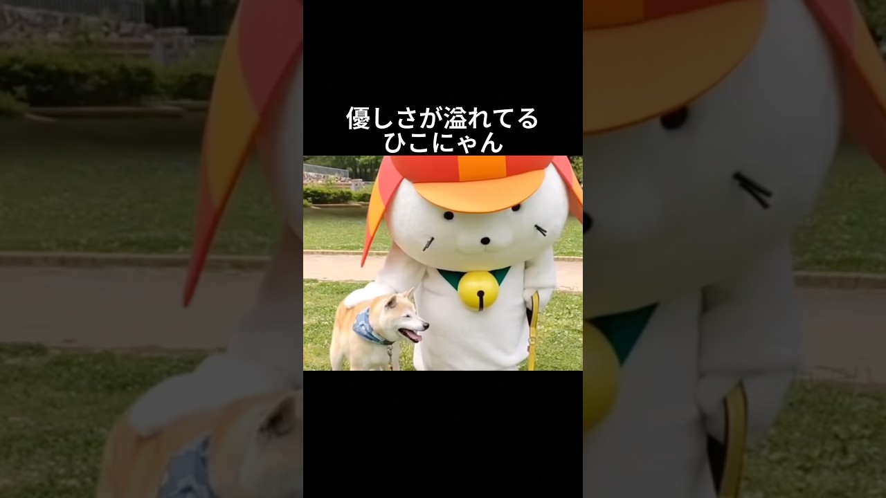 ひこにゃんの魅力が尋常じゃねぇよ！ #ひこにゃん