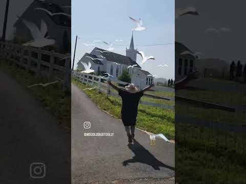 "The birds" created by my hubby...