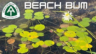 LIFE’S A BEACH Appalachian Trail Thru Hike Maine Day 163 Logan Brook Lean-To to Jo Mary Road