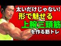 太さだけじゃない!形で魅せる上腕三頭筋を作る筋トレ!トライセップスの細かいラインも気にしてみよう。triceps training exercise