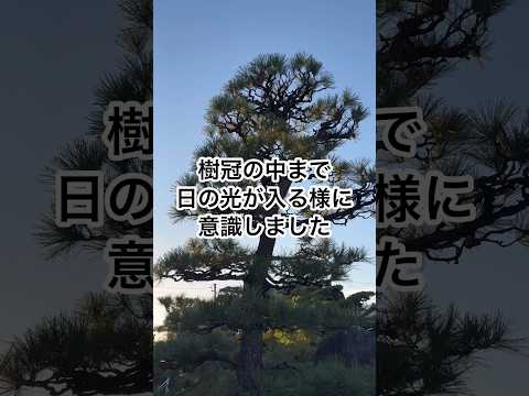 秋に剪定する果樹はどれ？庭師が教えるメンテナンス成功の秘訣！  庭園