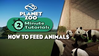 How to feed animals | 2 minute tutorials | Planet Zoo