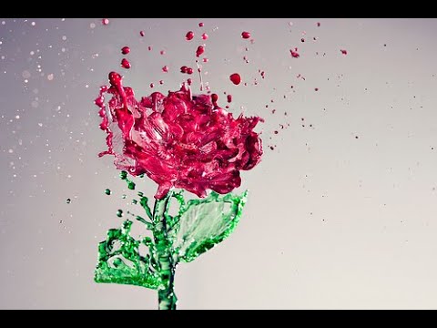 B’lev Echad - With One Heart (For Women and Girls Only!)