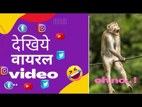 cats 🐱 and dogs 🐶 funny moments || @high dot light || #shorts ||#viralvideo