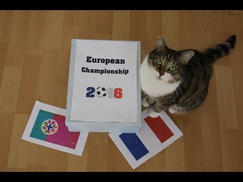 Amys Oracle EM 2016 | France vs Portugal Final