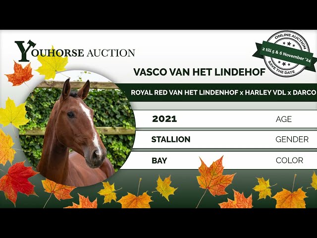 Vasco van het Lindehof