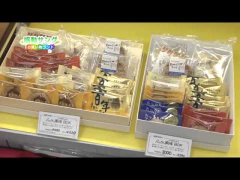 Tocando a Sang Bakkenmozart 2016 02 29