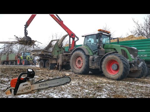 Winter 2021 // Bäume fällen und häckseln bei Frost -10°C