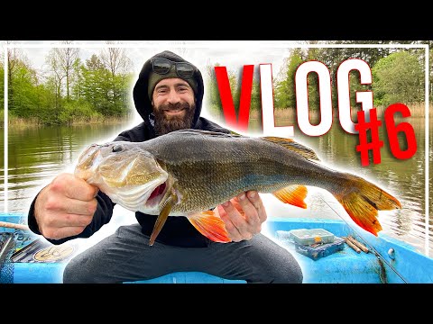 In diesem See gibt es nur MONSTERBARSCHE!