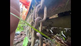 Agrimaster Kl250SW S trituradora para tractor | Imagen 4 - Agroline