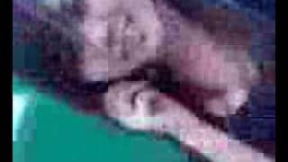 Le nem qui s'énerve