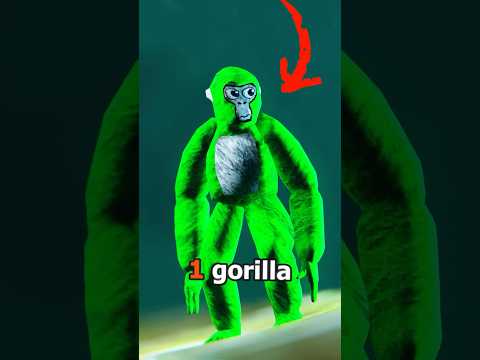 Where Are The LEGS? #gorillatag