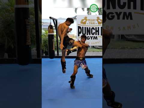 Muay Thai Knockout Shot - Jumping Knee to Counter the Teep with Kru Four & Kru Dam