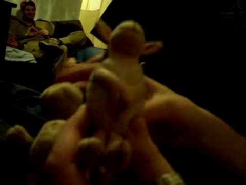 LAV-MINISTAR Z A KAPITALNE INVESTICIJE