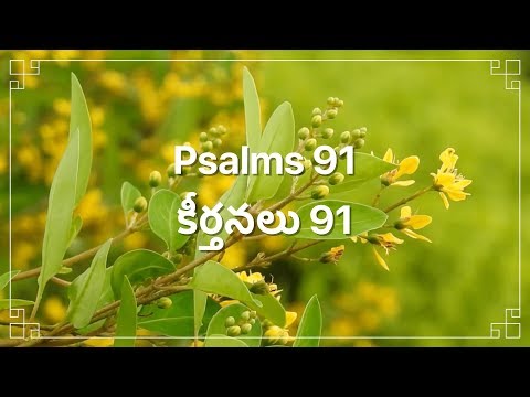 Telugu Bible |  Audio | Psalm 91 | పరిశుద్ధ గ్రంథము | కీర్తనలు 91 | Sravanthi Samson | Sunil Solomon