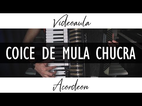 COICE DE MULA CHUCRA | Videoaula Acordeon