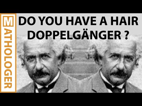 The Pigeon Hole Principle: 7 gorgeous proofs