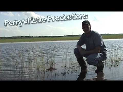 Animal Survival Technique - Smarter Every Day (T-5)