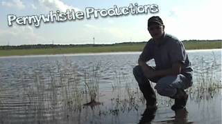 Animal Survival Technique - Smarter Every Day (T-5)