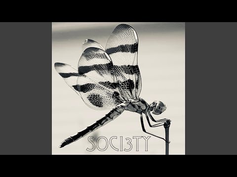 Rainy Monday Morning