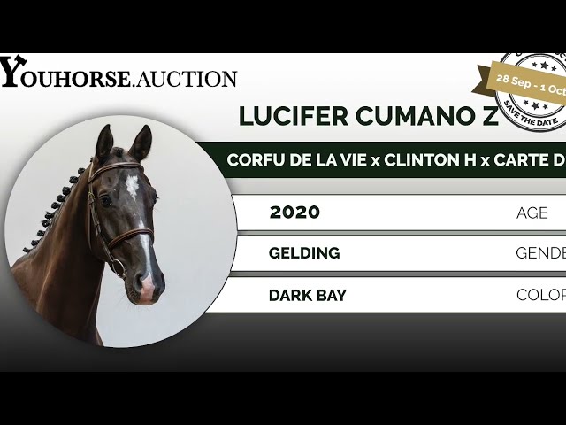 Lucifer Cumano Z trainingsvideo