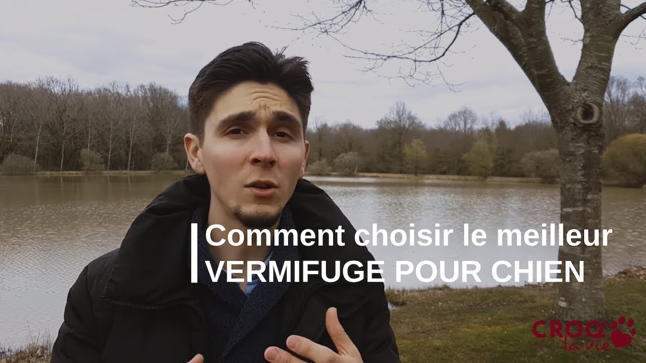Comment choisir le MEILLEUR vermifuge pour chien