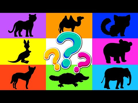 Zwierzęta dla dzieci 🐯🐯🐯