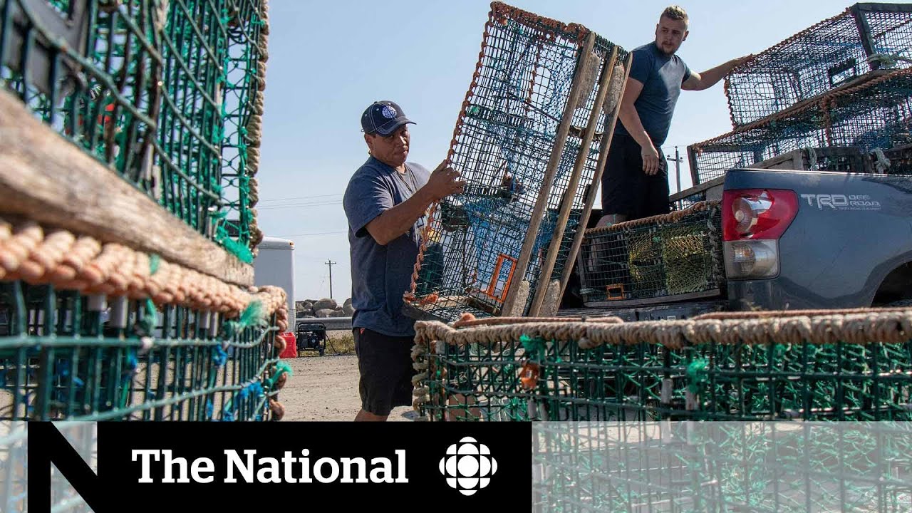 Judge issues injunction to end violence and threats against Sipekne'katik fishery