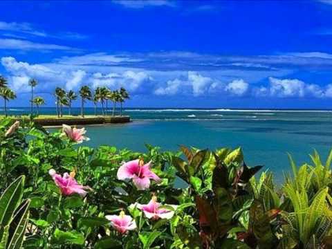 Deejay Neps vs XDJ   Diva