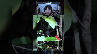 Download lagu SEREM BANGET KETEMU PENGHUNI HUTAN ‼️🥶🥶 #scary #shorts #ghost #creepy mp3