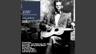 Devil Sent The Rain Blues