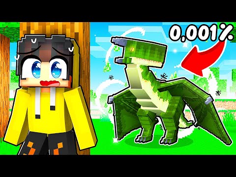 EJDERHA ADASININ EN NADİR EJDERHASINI BULDUM! (Zengin oldum🤑) | Minecraft