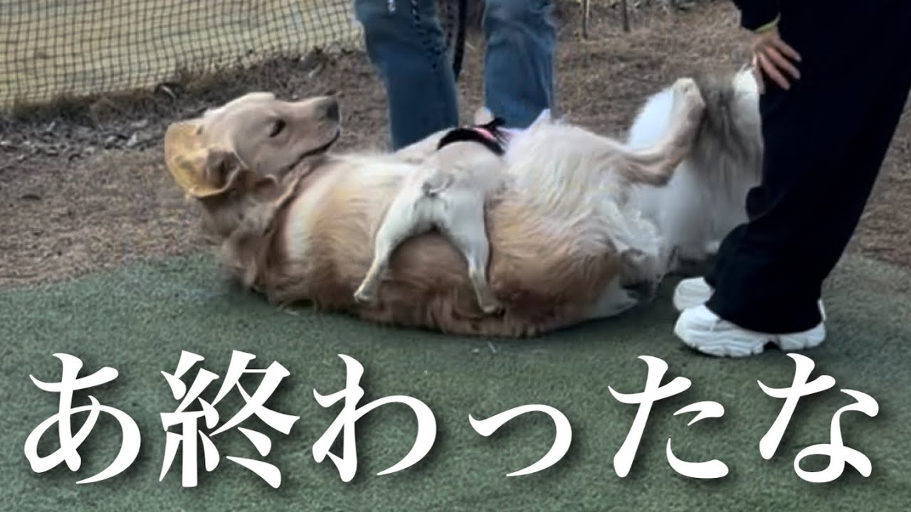 エレンたそ人生終了のお知らせ