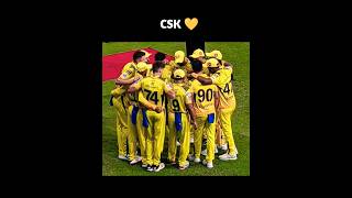 "CSK" one of the top team of ipl #ipl #ipl2024 #csk #dhoni