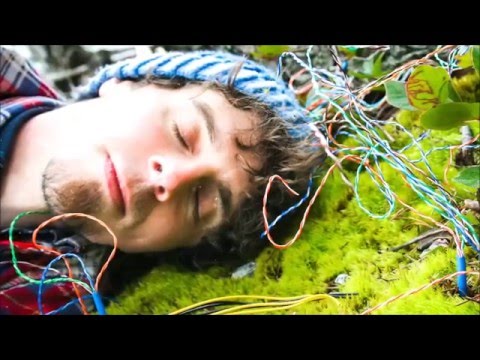 Woodland Telegraph's Screendeath Summersong