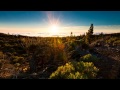 Ulf Lundell - Öppna Landskap 