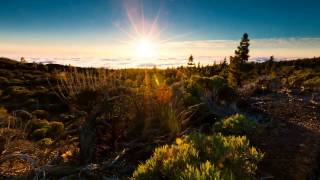 Ulf Lundell - Öppna Landskap